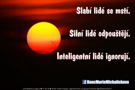 1361347295_2012-11-20-1-www_motivacni-citaty_cz_-590x393